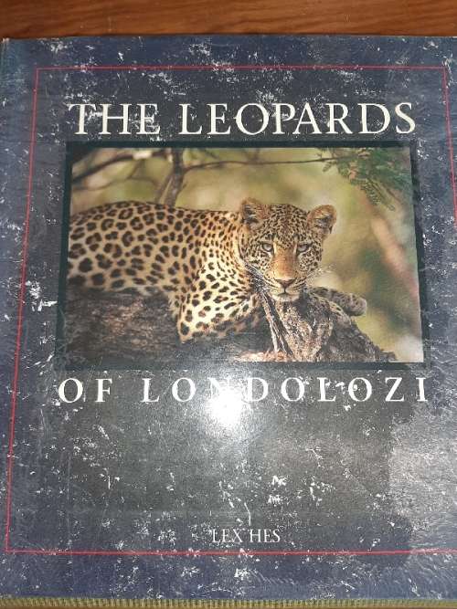 The Leopards of Londolozi - Lex Hes