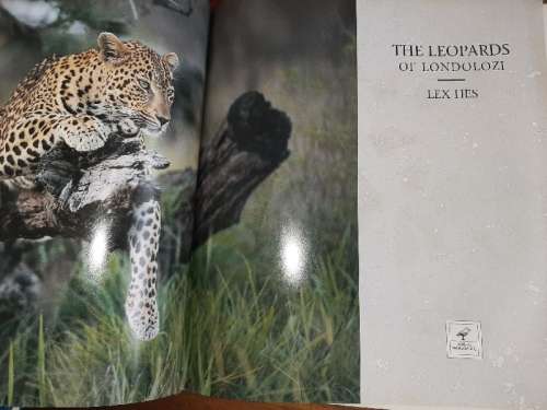 The Leopards of Londolozi - Lex Hes