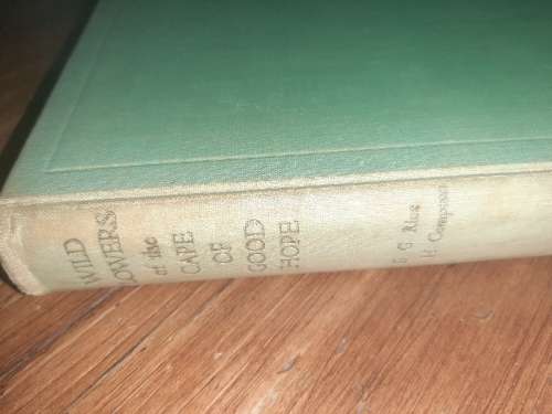 Wild Flowers of the Cape of Good Hope - Elsie Garrett Rice - 1950