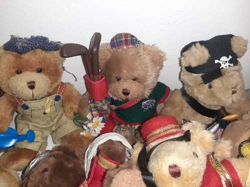 17 x Collectible Teddies - The Teddy Bear Collection