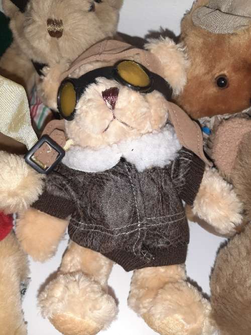 17 x Collectible Teddies - The Teddy Bear Collection