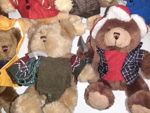17 x Collectible Teddies - The Teddy Bear Collection