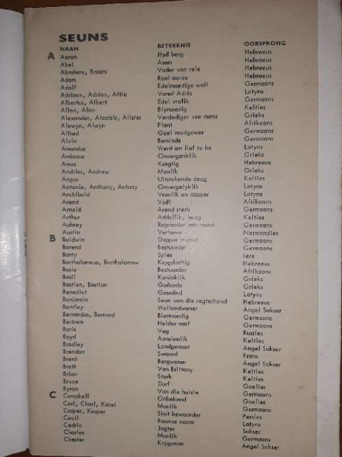 Wat is daar in 'n naam / What's in a name? - Booklet for choosing name with meaning and origin