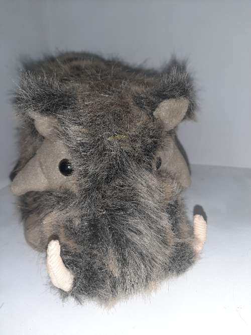 Born in Africa Warthog