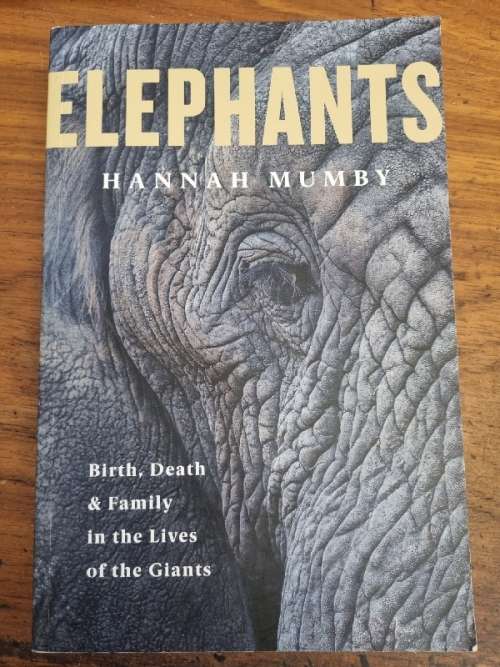 Elephants - Hannah Mumby - Birth, Death & Family in the Lives of the Giants