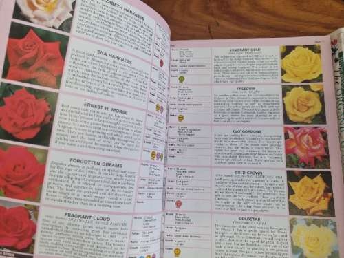 The Rose Expert - Dr. D.G. Hessayon