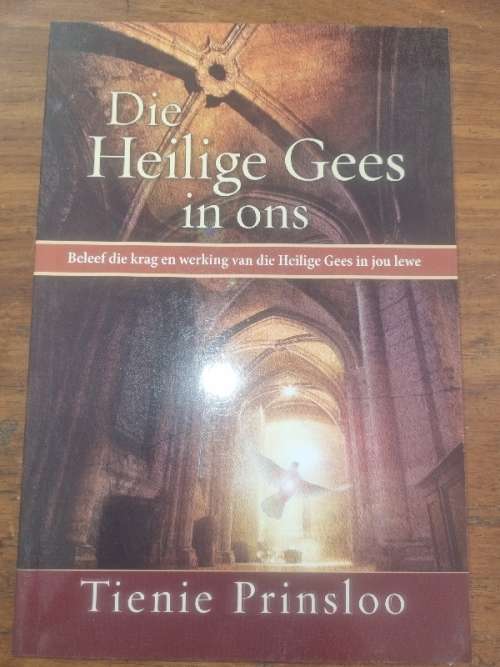 Die Heilige Gees in ons - Tienie Prinsloo
