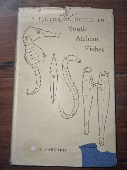 A Pictorial Guide to South African Fishes - Marine and Freshwater - K.H. Barnard