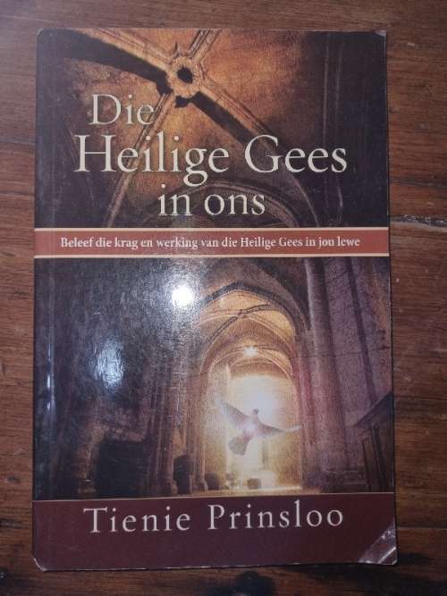 Die Heilige Gees in ons - Tienie Prinsloo