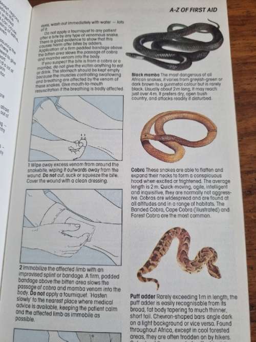 Glove Box Guide AA-RSA