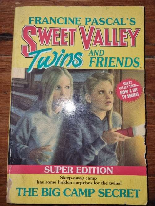 Sweet Valley Twins - The Big Camp Secret