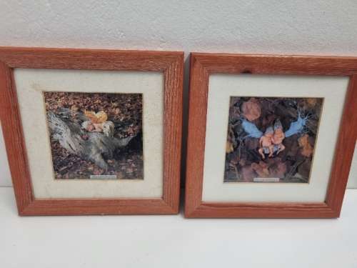 2 x Framed Anne Geddes Prints