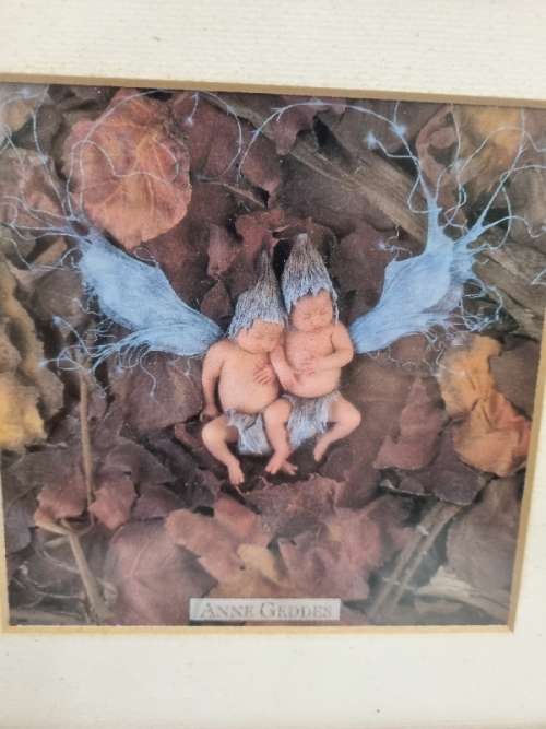 2 x Framed Anne Geddes Prints