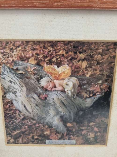 2 x Framed Anne Geddes Prints