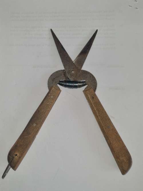 Vintage Scissor with wooden handle - France