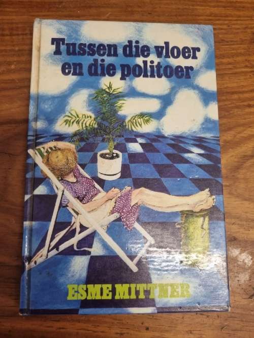 Tussen die vloer en die politoer - Esme Mittner