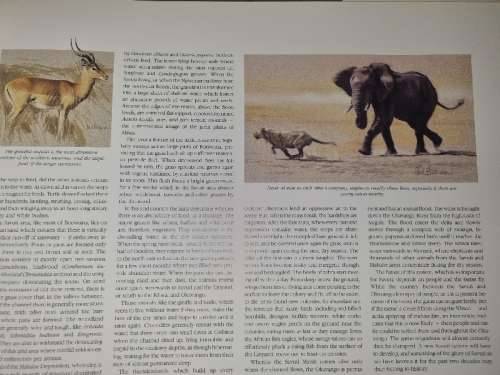 Elephants of Africa - Paul Bosman / Anthony Hall-Martin - Large Book
