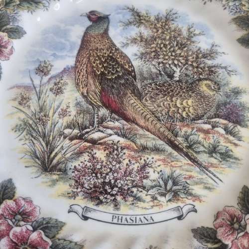 Churchill Wildlife Display Plate with wall hanging attachment - Phasiana - 25cm
