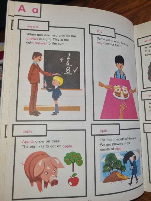 Picture Dictionary