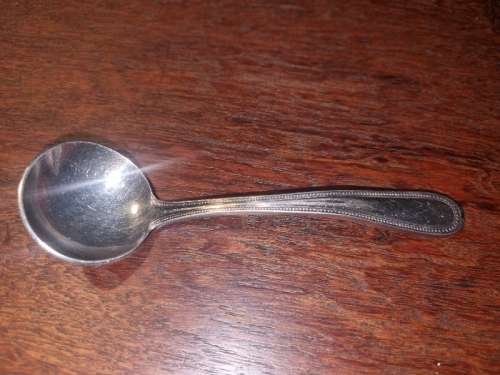 Eetrite Silver Plated Spoon