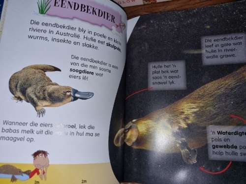 My eerste boek oor soogdiere (en mensvreers ook)