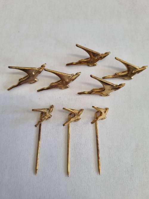 8 x SAA pins and badges