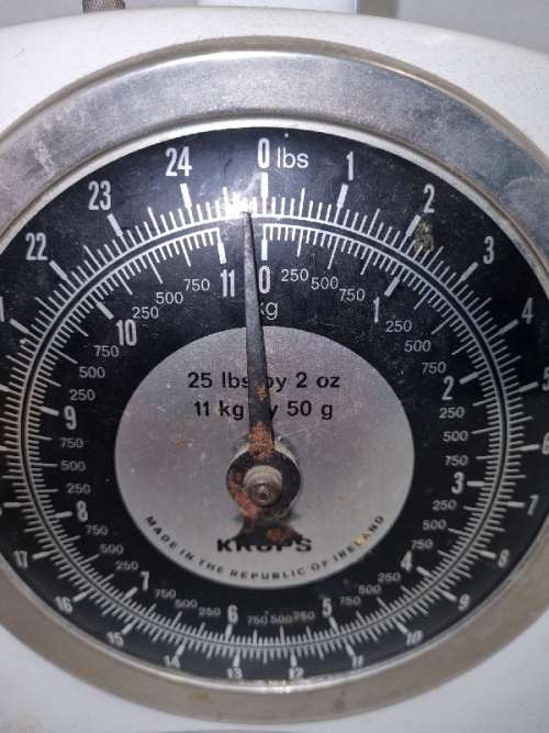 Krups 25Lbs scale - Made in Ireland