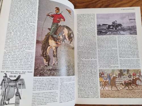 Encyclopedia of The Horse - Large Book
