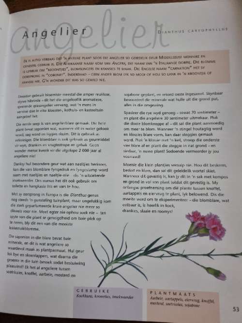 Plantmaats - Margaret Roberts