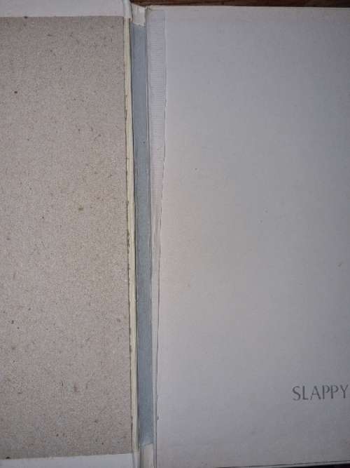 The story of Slappy duck - Read Along with me