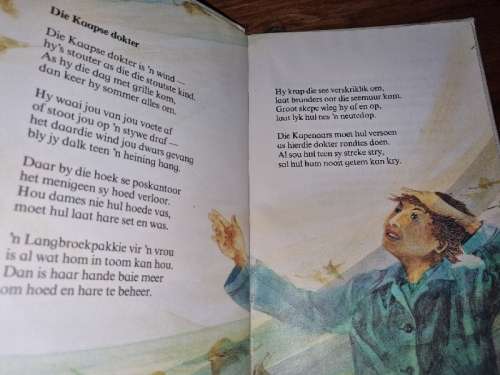 Treetjies na die toekoms - Johan van Zyl