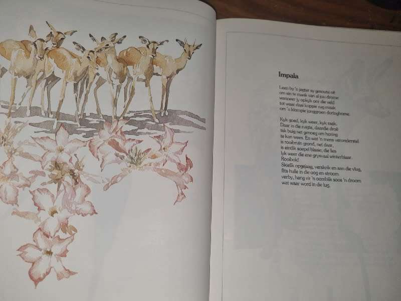 Bokspoortjies - gedigte deur Ted Townsend