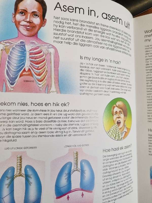 Jy en Jou Liggaam - Gillian Bunce - Vrae en Antwoorde