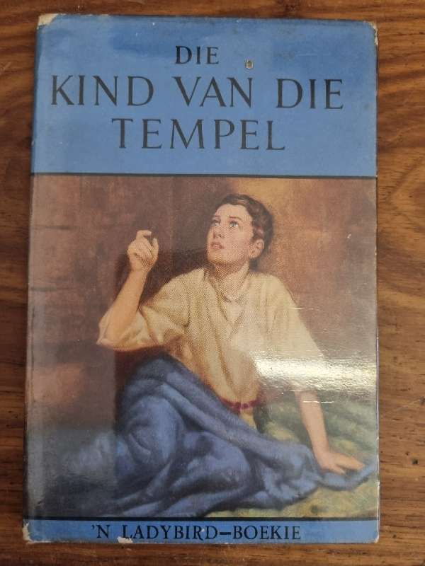 Die Kind van die Tempel - Lucy Diamond