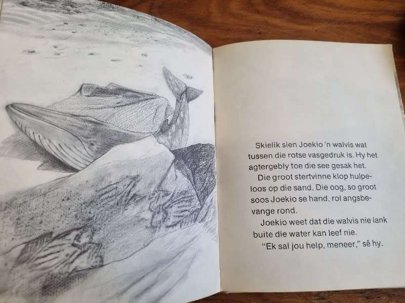 Ronald Roy en Vo-Dinh Mai - Duisend Emmers Water