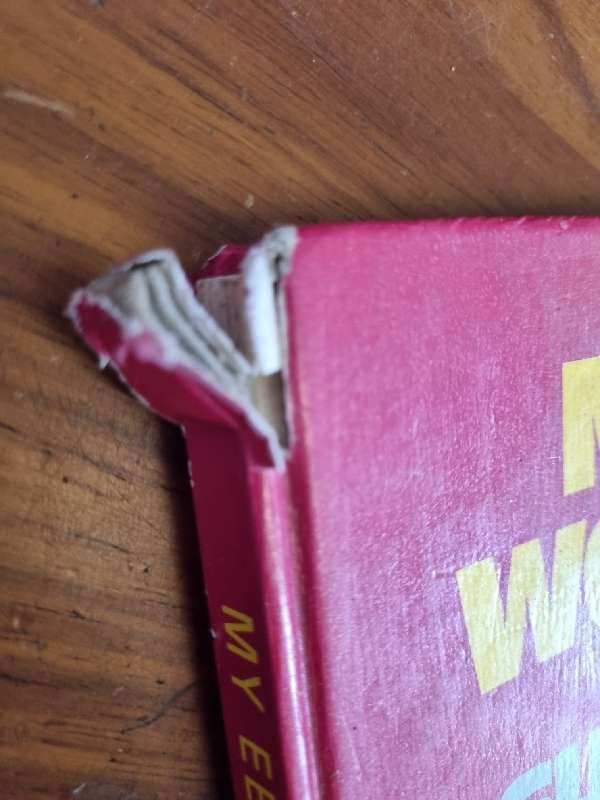 My Eerste Woordeboek - 1000 woorde vir Suid-Afrikaanse Seuns en Dogters