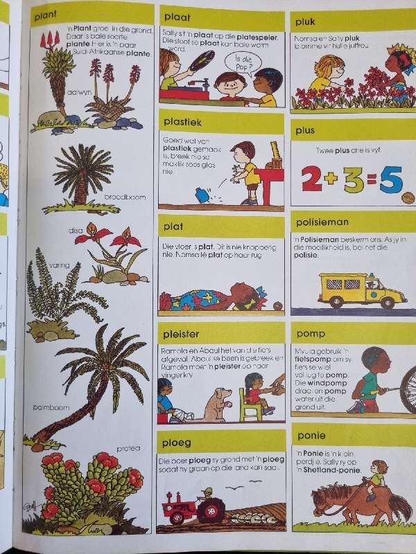 My Eerste Woordeboek - 1000 woorde vir Suid-Afrikaanse Seuns en Dogters