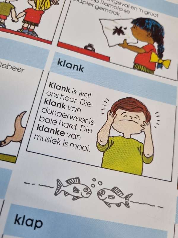 My Eerste Woordeboek - 1000 woorde vir Suid-Afrikaanse Seuns en Dogters