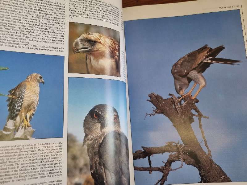 Birds of the World - Richard Coomber - Large book - Over 400 colour photographs