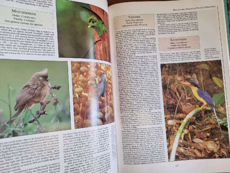 Birds of the World - Richard Coomber - Large book - Over 400 colour photographs
