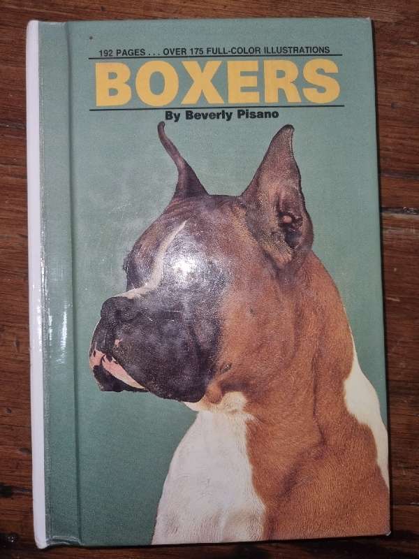 Boxers - Beverly Pisano
