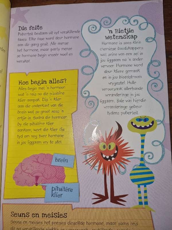 Slegs Meisies! - Alles wat jy oor grootword wil weet