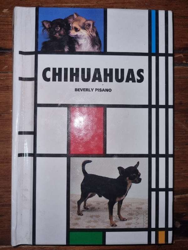 Chihuahuas - Beverly Pisano