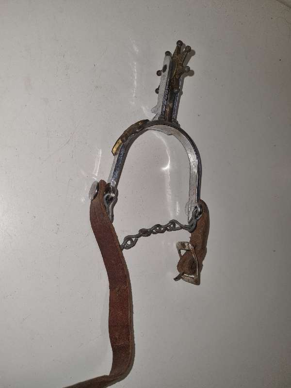 Antique Horse Riding Spur with bull detail
