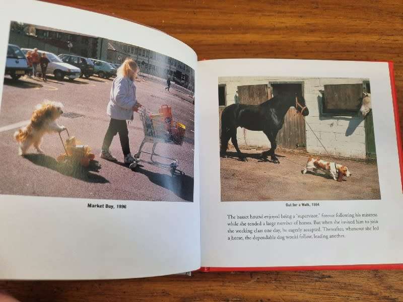 The Dog Day Book - Photographs by John Drysdale - Text by Margaret Regan