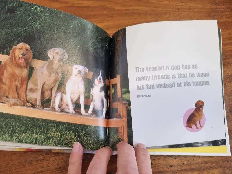 Dogs do the Silliest Things - Alexandra Ortolja-Baird