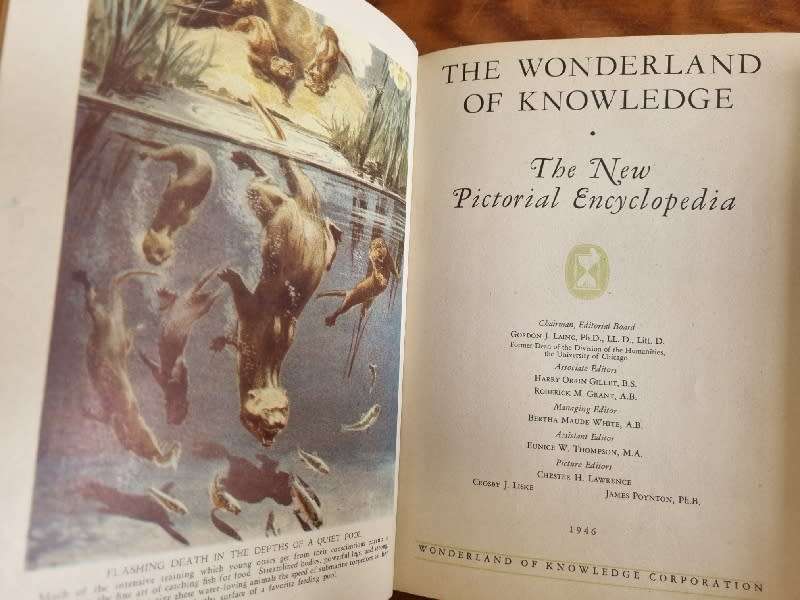 The Wonderland of Knowledge - A Pictorial Pageant - 1946
