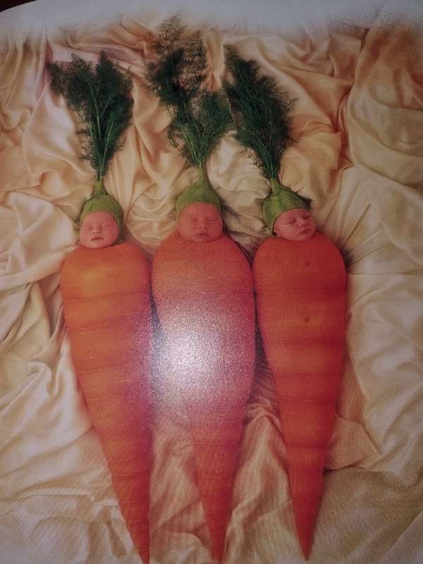 Anne Geddes - Down in the Garden