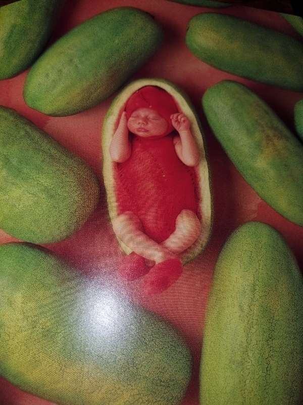 Anne Geddes - Down in the Garden