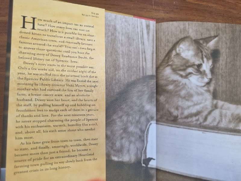 Dewey - The Small-Town Library Cat Who Touched the World - Vicky Myron